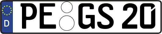 PE-GS20