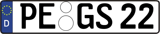 PE-GS22