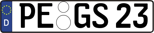 PE-GS23