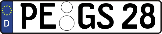 PE-GS28