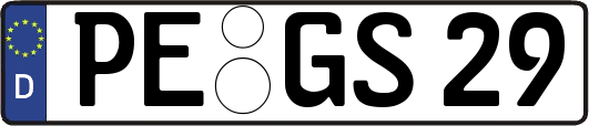 PE-GS29