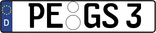 PE-GS3