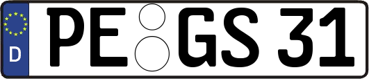 PE-GS31