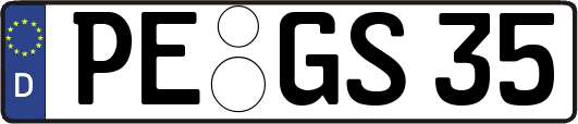 PE-GS35
