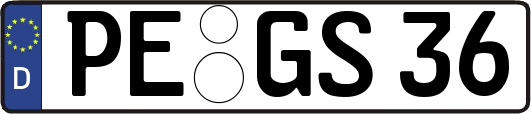 PE-GS36