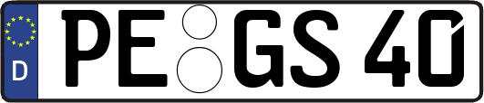 PE-GS40