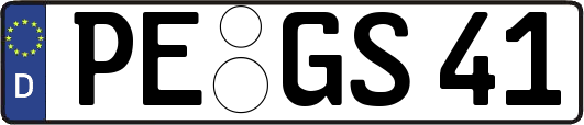 PE-GS41