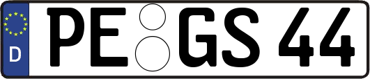 PE-GS44