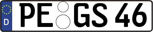 PE-GS46
