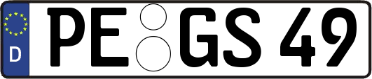 PE-GS49
