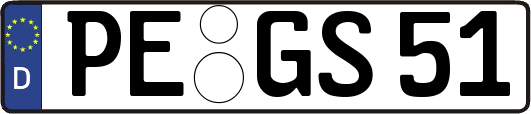 PE-GS51