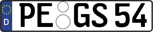 PE-GS54