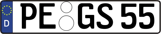 PE-GS55