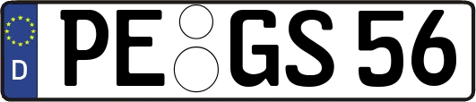 PE-GS56
