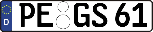 PE-GS61