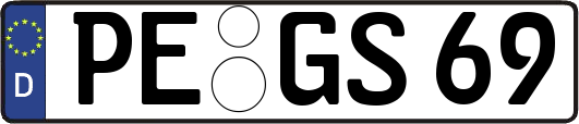 PE-GS69