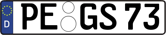 PE-GS73