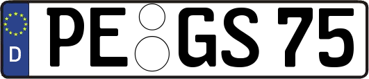 PE-GS75