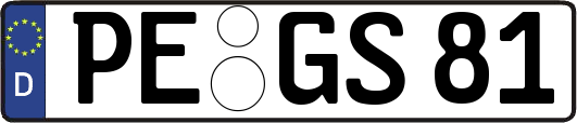 PE-GS81