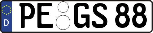 PE-GS88