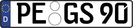 PE-GS90