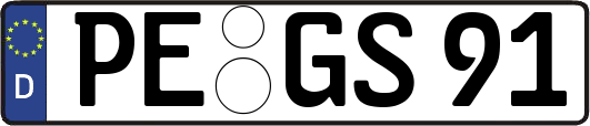 PE-GS91