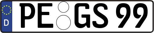 PE-GS99