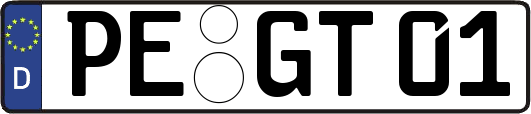 PE-GT01