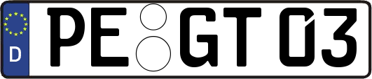 PE-GT03