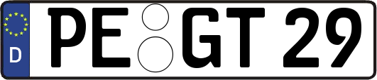 PE-GT29