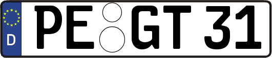PE-GT31