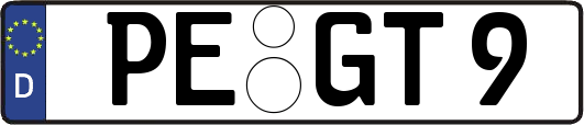 PE-GT9