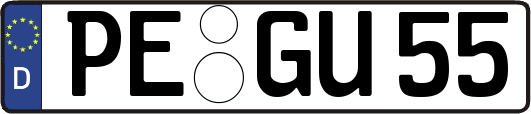 PE-GU55