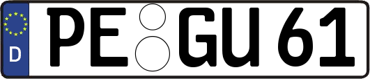 PE-GU61