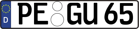 PE-GU65