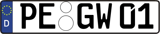PE-GW01