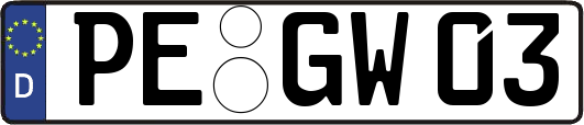 PE-GW03