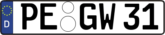PE-GW31