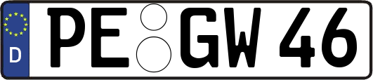 PE-GW46