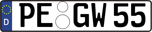 PE-GW55