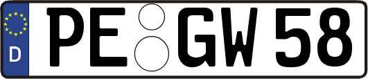 PE-GW58