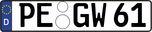PE-GW61