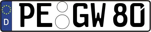 PE-GW80