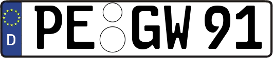 PE-GW91