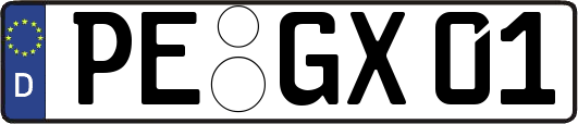 PE-GX01