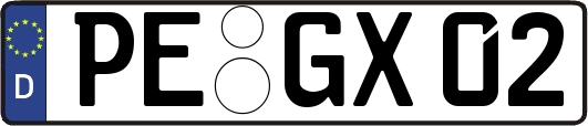 PE-GX02