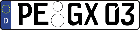 PE-GX03