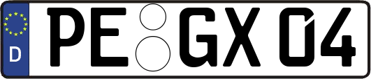 PE-GX04