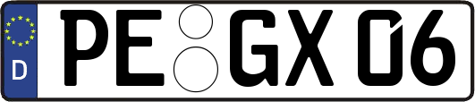 PE-GX06