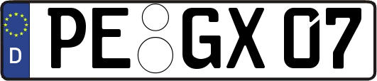 PE-GX07
